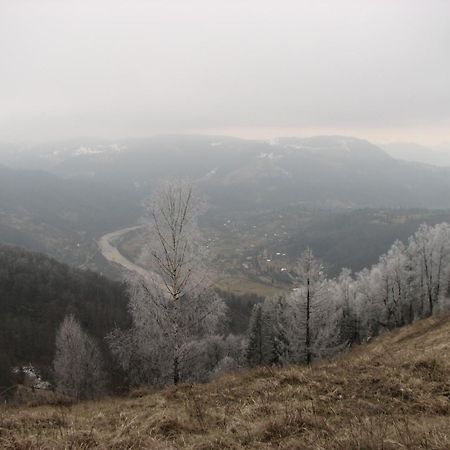 Дім З Видом На Гори. Vizhenka Exterior photo