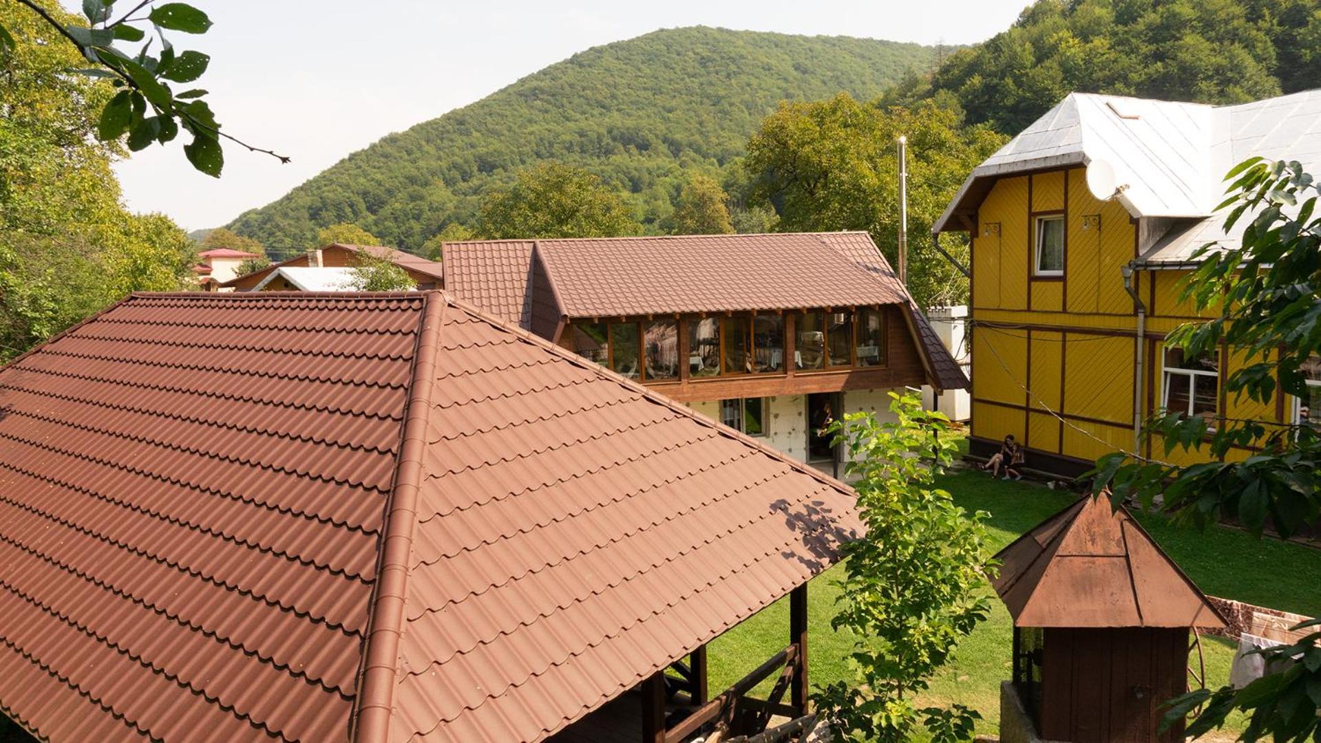 Дім З Видом На Гори. Vizhenka Exterior photo