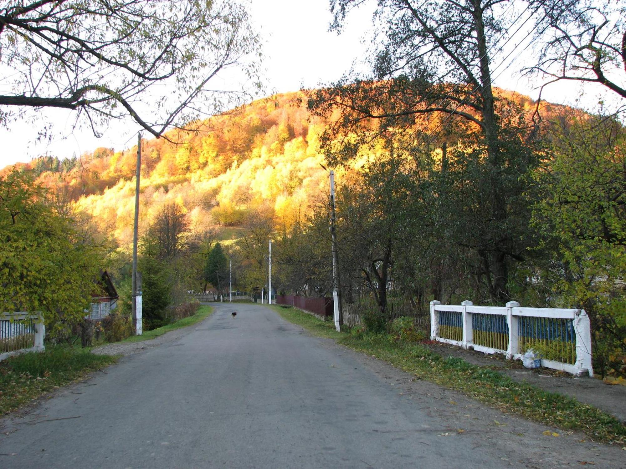 Дім З Видом На Гори. Vizhenka Exterior photo