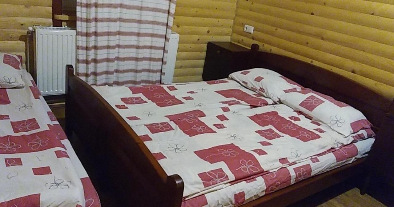 Дім З Видом На Гори. Vizhenka Exterior photo